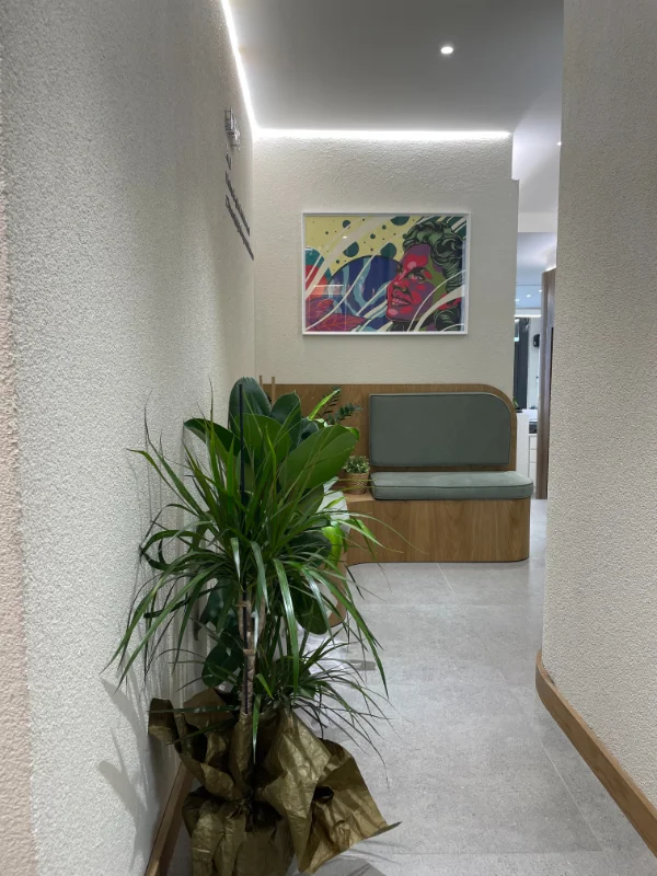 Dent Risus clinic interior