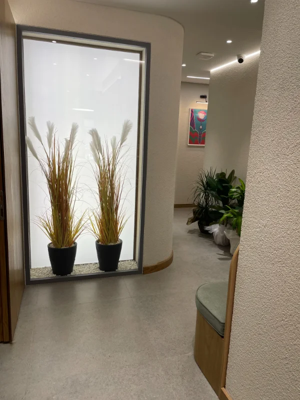 Dent Risus clinic interior